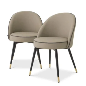 SET DI 2 SEDIE DA PRANZO COOPER