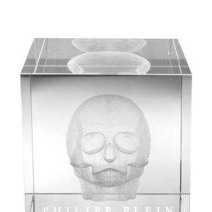 PP OBJECT ATTITUDE GLASS